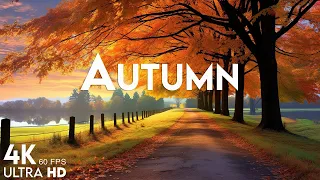 11 HOURS of 4K Enchanting Autumn Nature Scenes 🍁 Relaxing Piano Music for Stress Relief #13