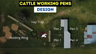 Cattle Working Essentials Ep. 3 - Cattle Handling Facilities Design| Regenerative Ranching