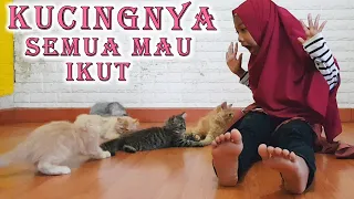 Beli Kucing Lucu Banget | Vlog Dunia Dinda Beli Kucing