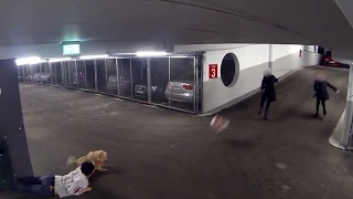 Top Killer Dog Scare Prank