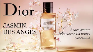 РИСК - ДЕЛО БЛАГОРОДНОЕ?.. DIOR JASMIN DES ANGES - ОБЗОР АРОМАТА // Fragrance Review