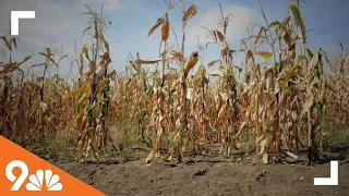 Climate Change: Impact on agriculture