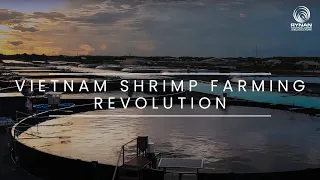 RYNAN Aquaculture high-tech shrimp farming in Vietnam