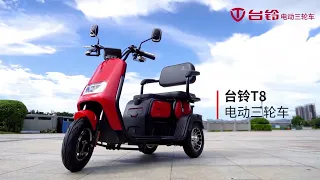 3х колесный электрический скутер TAILG.