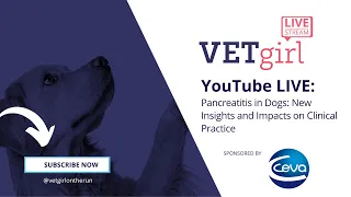 July 13, 2023: YouTube LIVE: Pancreatitis in Dogs: New Insights and Impacts on Clinical Practice