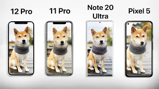 iPhone 12 Pro vs 11 Pro vs Pixel 5 vs Note 20 Ultra - The ULTIMATE Camera Comparison!