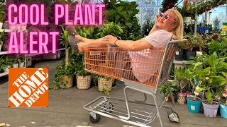 10 of the Coolest Plants at Home Depot Right Now