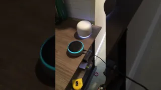 Alexa and google infinite loop