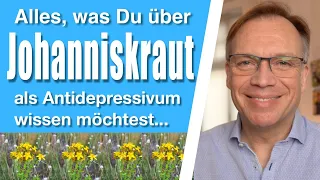 Johanniskraut: Alles, was Du über das pflanzliche Antidepressivum wissen möchtest!