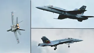 Le F18 Hornet à la Ferté Alais 2024