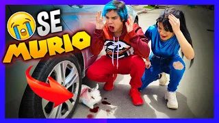 ¡ARROLLARON A SU MASCOTA! BROMA PESADA A YOLO - Yolo Aventuras