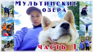 Мультинские озера  ожидания и реальность #часть1 Обзор цены Алтай с собакой. #мультинскиеозера
