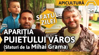 Cum prevenim APARIȚIA PUIETULUI VĂROS (Sfaturi de la Mihai Grama) [Sfatul zilei]