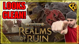 This Looks AWESOME!! Warhammer Age Of Sigmar Realms Of Ruin!!