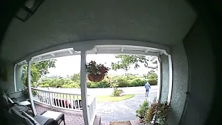 Mystery Visitor at My Door Surveillance Footage Reveals Unexpected Intruder