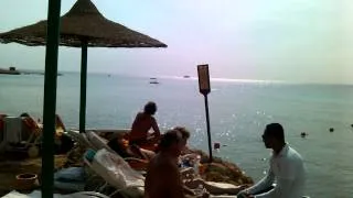 Море и пляж в отеле Sonesta Beach 5*, Sharm-el-Sheikh