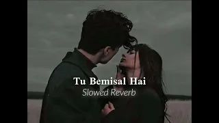 Tu Bemisal Hai Slowed Reverb