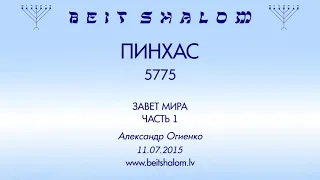 «ПИНХАС» 5775 «ЗАВЕТ МИРА» ЧАСТЬ 1 (А.Огиенко 11.07.2015)