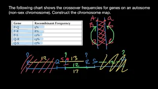 How to find order of genes on chromosome