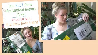 The BEST Rare Houseplant Import EVER! Aroid Market!