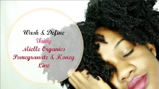 Wash & Go Using Mielle Organics Pomegranate & Honey Line || Initial Thoughts