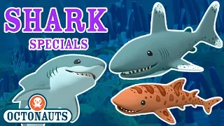 Octonauts - Undersea Missions to Discover Sharks | Shark Week Special