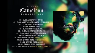 El Grande Toto Album Caméléon 2021