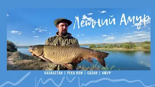 ТРОФЕЙНАЯ РЫБАЛКА, АМУРЫ,💥💥💥 РЫБАЛКА С НОЧЕВКОЙ, МЯСО, КАЗАН, РЕКА Или 2022