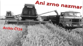 Ani zrno nazmar | Archiv ČT24