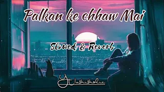 Palkan ke chhaw Mai [ Slowed+Reverb] - Nirahua | Priyanka Singh  |Lofi Song | ashisholic |