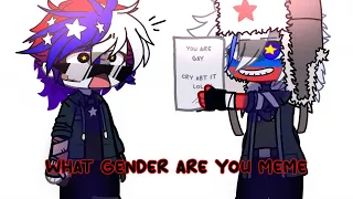 what gender are you... meme [COUNTRYHUMANS]