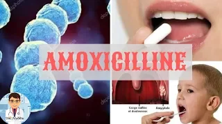 AMOXICILLINE ( 1g,500mg 250mg...) / TOUT SUR CE MÉDICAMENT