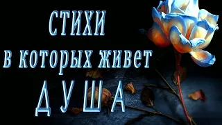 Одно из сильнейших стихотворений Сергея Есенина. Стихи о жизни.