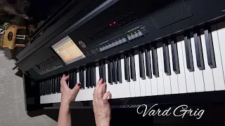 Sarerov Dzorerov~Arkadi Dumikyan/piano cover Vard Grig