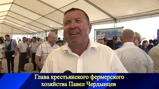 День поля "Волгоградский овощевод" проходит в Среднеахтубинском районе