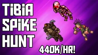 [Tibia Where to Hunt - MS/ED 30+] The Spike (440k/hr @ level 43!)