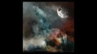 Stoned Void - Shadows of the Waves