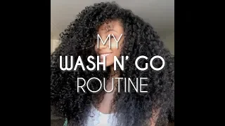 Miss USA Cheslie Kryst's Favorite Wash N Go Routine