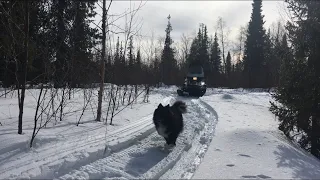 Один в лес на снегоходе, что беру с собой, какое снаряжение необходимо в дальней поездке.