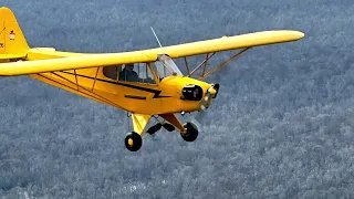 J3 Cub and Citabria