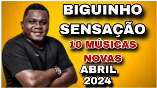 BIGUINHO SENSAÇÃO ( 10 MÚSICAS NOVAS ) REPERTÓRIO NOVO ABRIL 2024