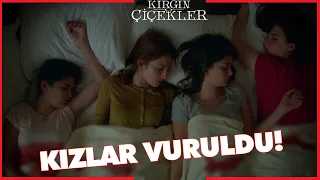 Kırgın Çiçekler Özel Kısa Bölümler | 166