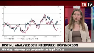 Strategen: ”Tillväxtbolagen har gått alldeles för bra”