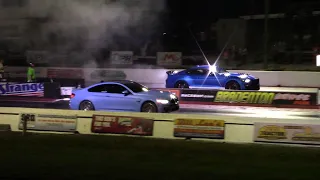 Shelby GT500 vs BMW M4, KIA Stinger & Audi 1/4 Mile Drag Races