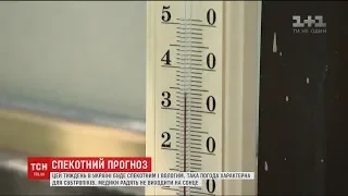 Кліматологи розповіли, до якого літа готуватись українцям