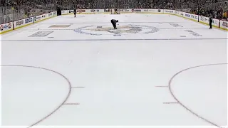 FULL SHOOTOUT BETWEEN THE PENGUINS AND REDWINGS  [1/28/22]