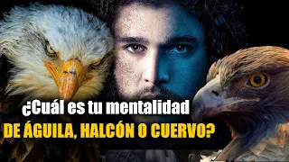 Esto Dividirá Tu Vida En Un Antes Y Un Después Si Lo Llevas Acabo. La Vida Del Águila Y El Halcón