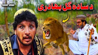 Da Sada Gul Bahaduri | Funny Video 2021 By Sada Gul Vines | Sada Gul Vines