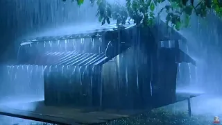 Heavy rain and crazy thunder on the metal roof at night, relieve stressfall asleep fast in 3 minutes