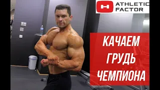 Тренировка грудных мышц. Качаем грудь чемпиона.